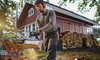 Бензопила STIHL MS 162 (30 см)