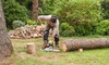 Бензопила STIHL MS 212 (45 см)