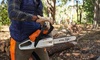 Бензопила STIHL MS 162 (30 см)