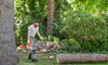 Бензопила STIHL MS 212 (40 см)