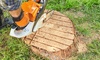 Бензопила STIHL MS 162 (30 см)