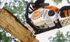 Бензопила STIHL MS 162 (30 см)